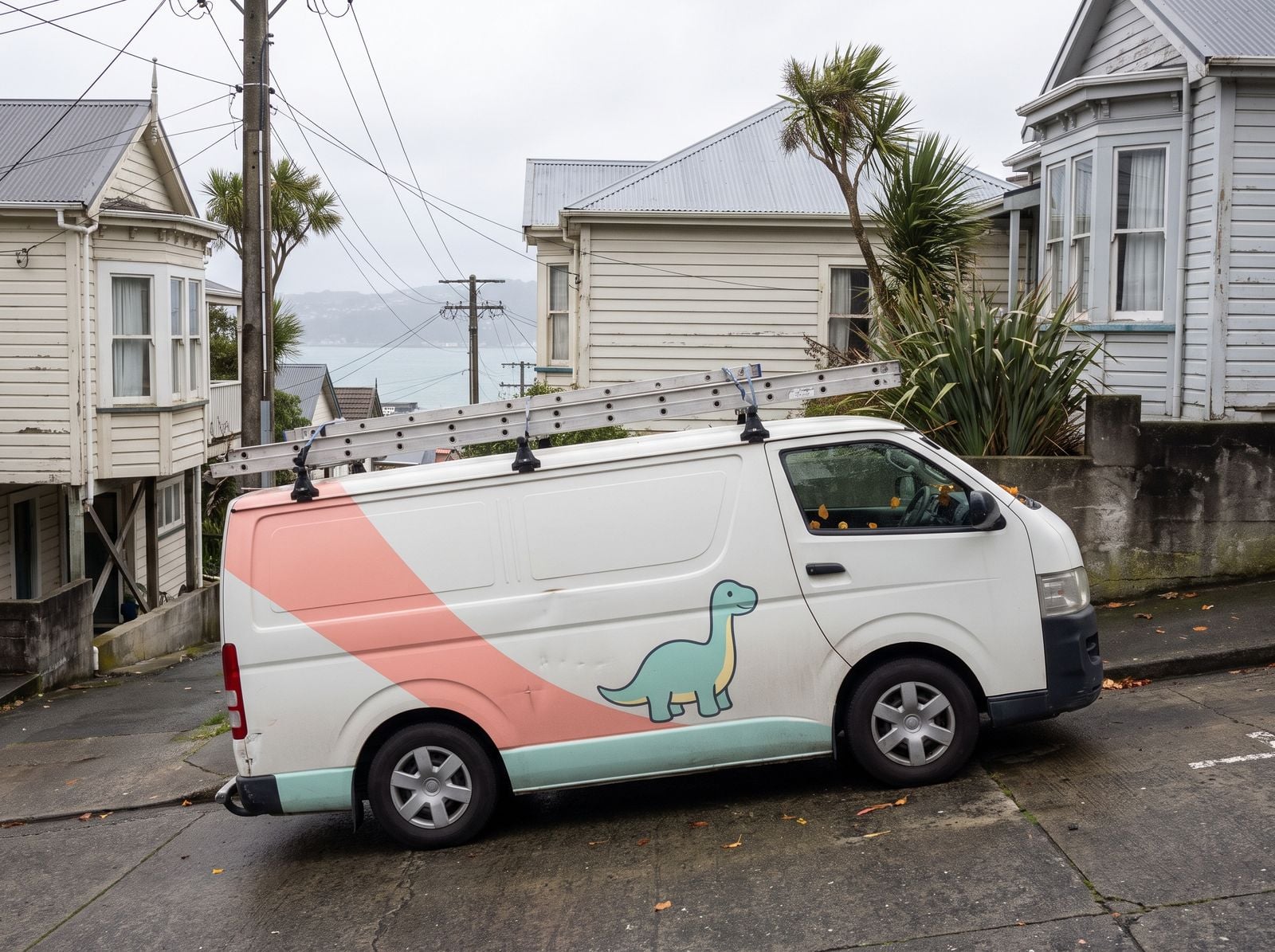 Cheeky's Plumbers van parked on a Wellington villa street